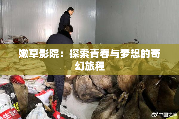 嫩草影院：探索青春与梦想的奇幻旅程