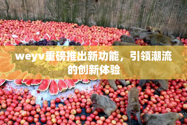 weyv重磅推出新功能，引领潮流的创新体验