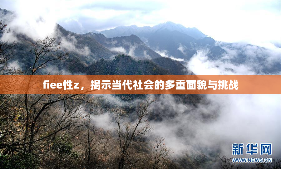 fiee性z，揭示当代社会的多重面貌与挑战