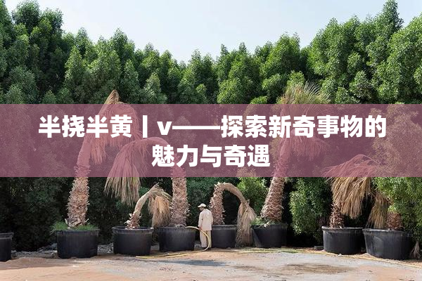半挠半黄丨v——探索新奇事物的魅力与奇遇