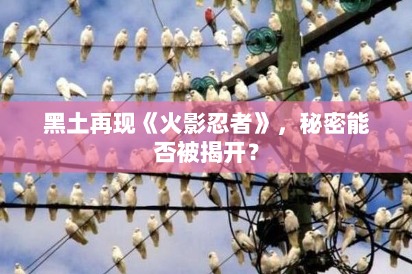 黑土再现《火影忍者》，秘密能否被揭开？