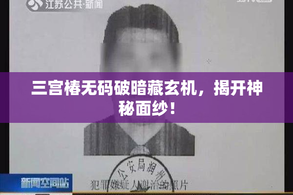 三宫椿无码破暗藏玄机，揭开神秘面纱！