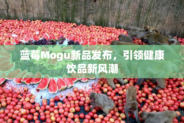 蓝莓Mogu新品发布，引领健康饮品新风潮