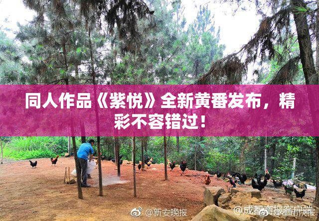 同人作品《紫悦》全新黄番发布，精彩不容错过！