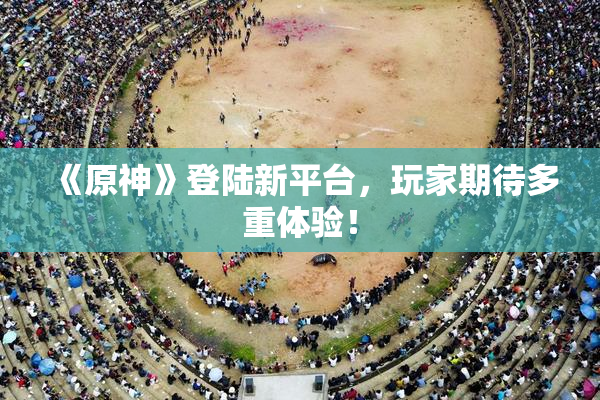 《原神》登陆新平台，玩家期待多重体验！