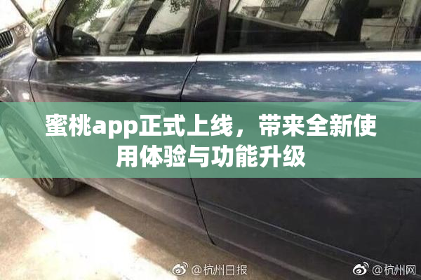 蜜桃app正式上线，带来全新使用体验与功能升级