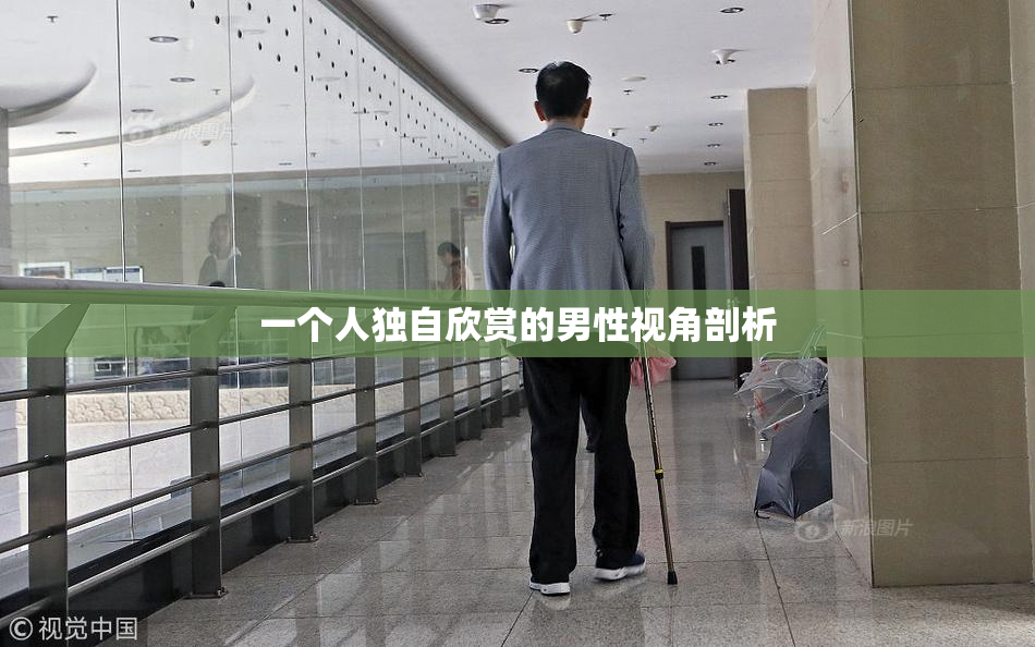 一个人独自欣赏的男性视角剖析