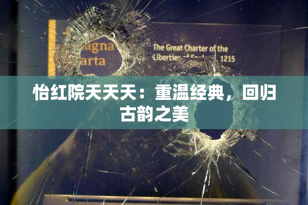 怡红院天天天：重温经典，回归古韵之美