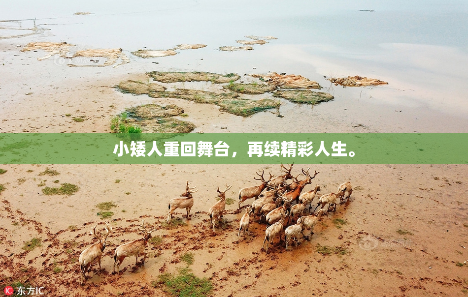 小矮人重回舞台，再续精彩人生。
