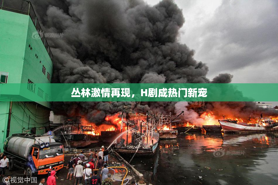 丛林激情再现，H剧成热门新宠