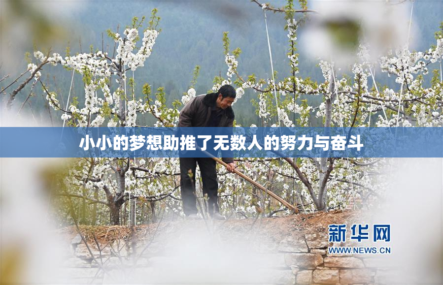 小小的梦想助推了无数人的努力与奋斗