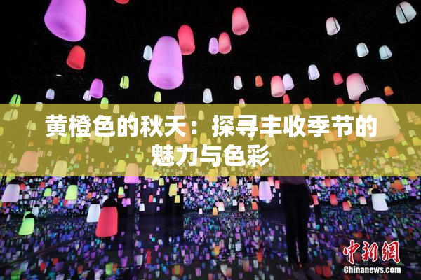 黄橙色的秋天：探寻丰收季节的魅力与色彩