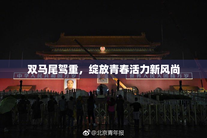 双马尾驾重，绽放青春活力新风尚