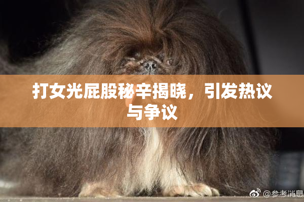 打女光屁股秘辛揭晓，引发热议与争议