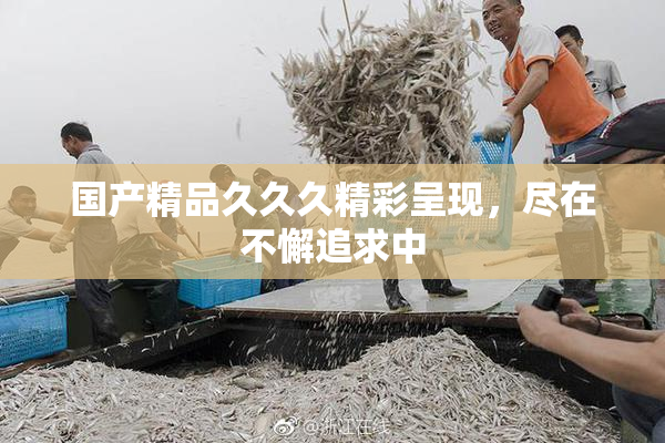 国产精品久久久精彩呈现，尽在不懈追求中