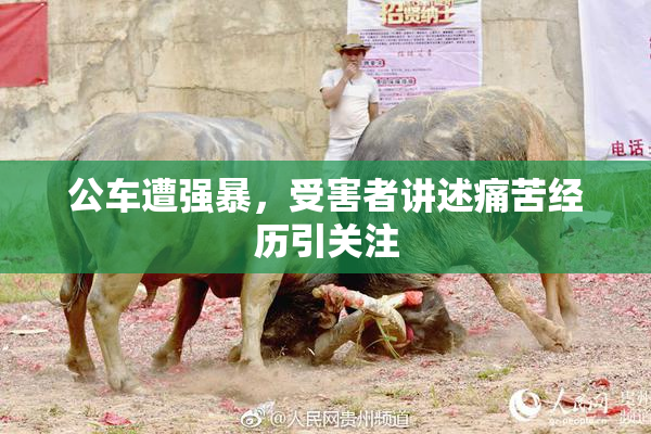 公车遭强暴，受害者讲述痛苦经历引关注