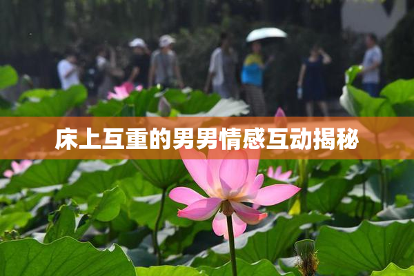 床上互重的男男情感互动揭秘