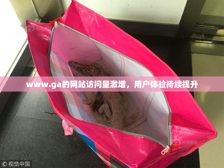 www.ga的网站访问量激增，用户体验持续提升