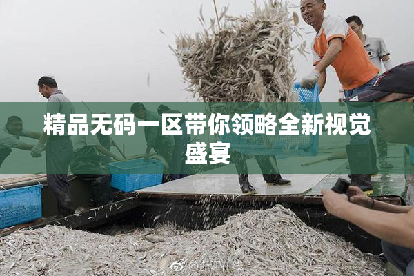 精品无码一区带你领略全新视觉盛宴