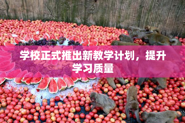 学校正式推出新教学计划，提升学习质量
