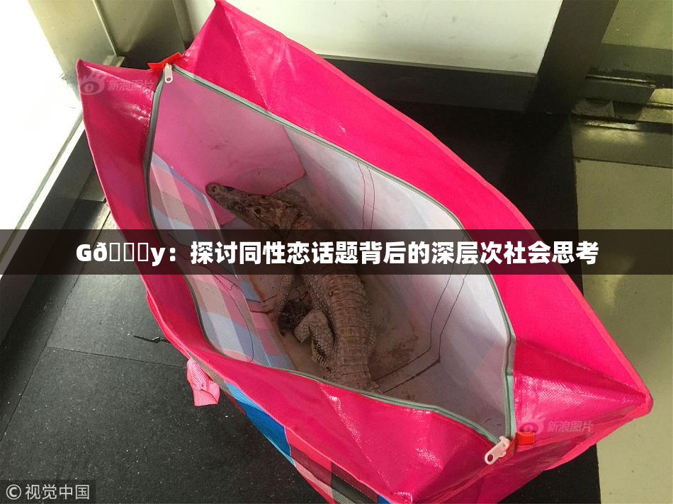 G🈚y：探讨同性恋话题背后的深层次社会思考