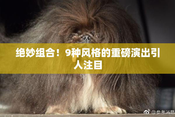 绝妙组合！9种风格的重磅演出引人注目