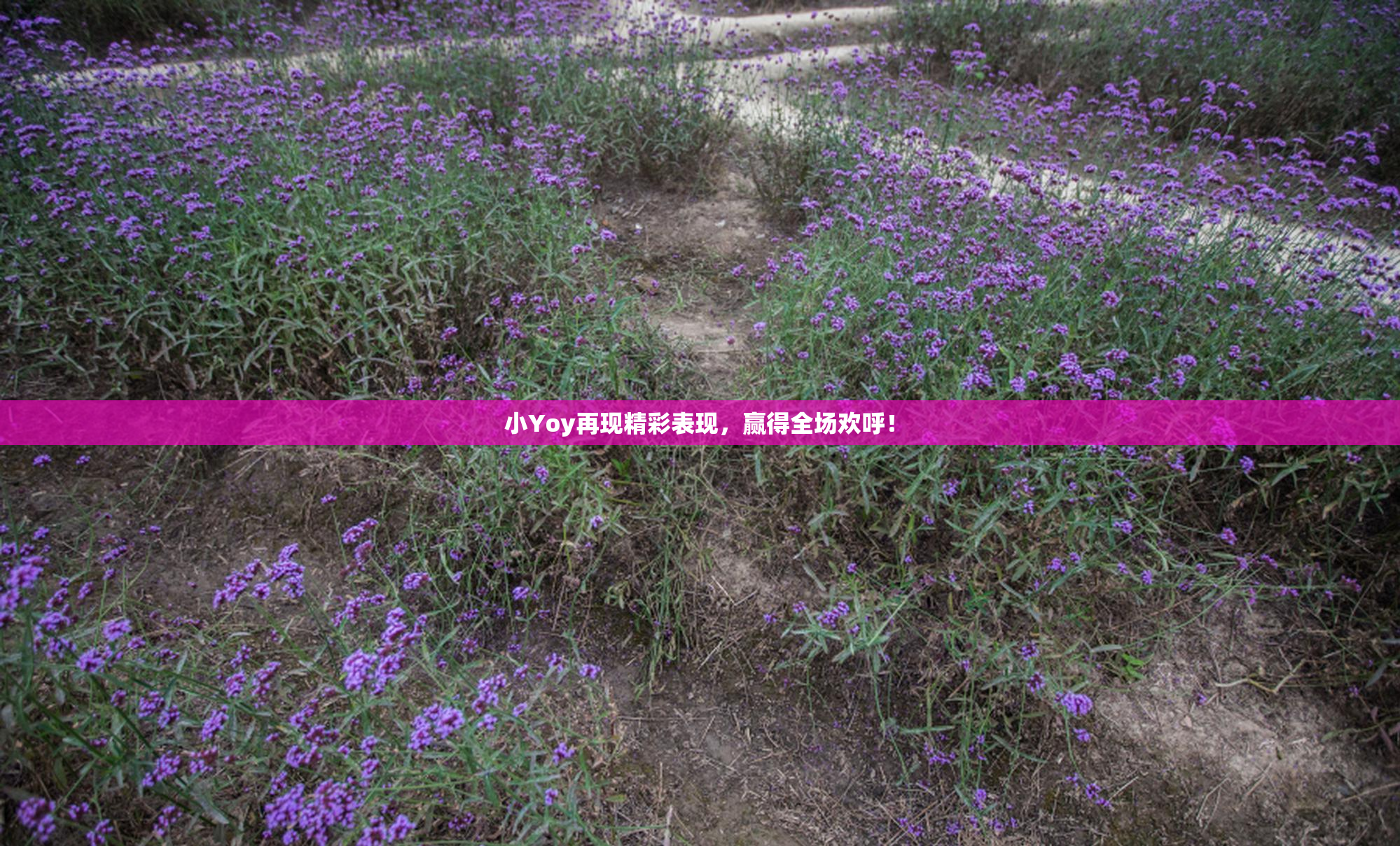 小Yoy再现精彩表现，赢得全场欢呼！