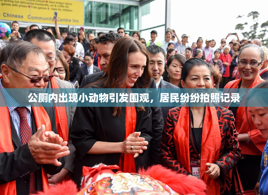 公厕内出现小动物引发围观，居民纷纷拍照记录