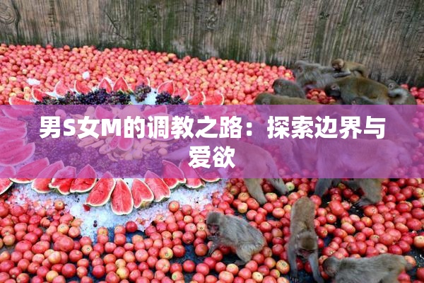 男S女M的调教之路：探索边界与爱欲