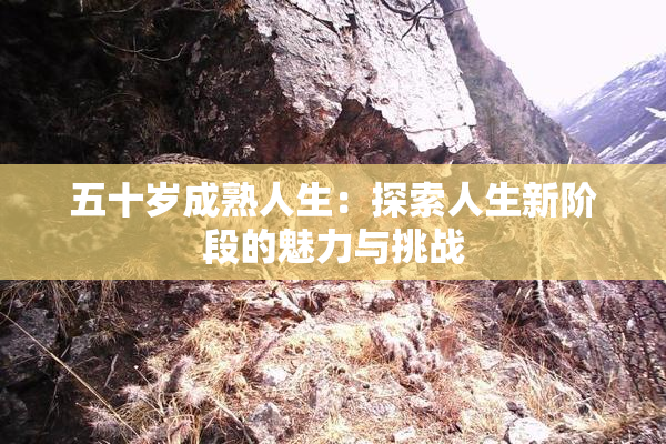 五十岁成熟人生：探索人生新阶段的魅力与挑战