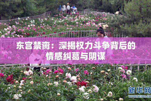 东宫禁脔：深揭权力斗争背后的情感纠葛与阴谋