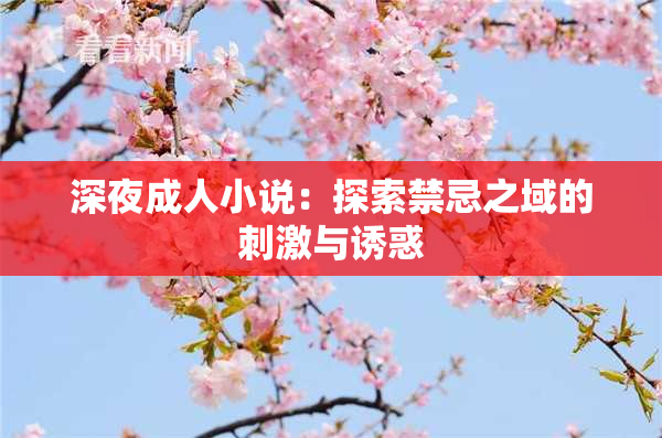 深夜成人小说：探索禁忌之域的刺激与诱惑
