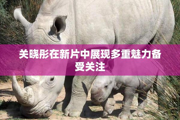 关晓彤在新片中展现多重魅力备受关注