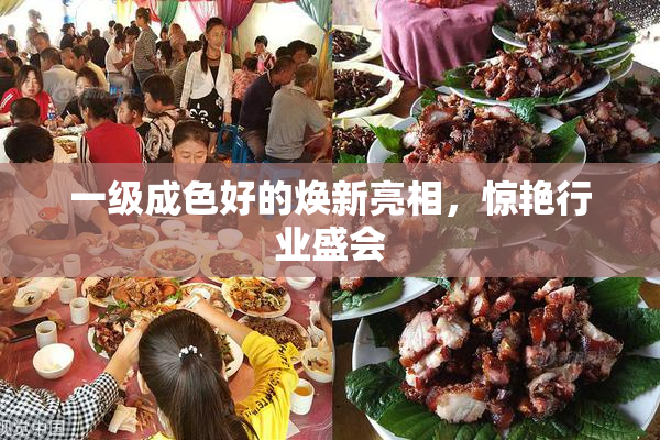 一级成色好的焕新亮相，惊艳行业盛会