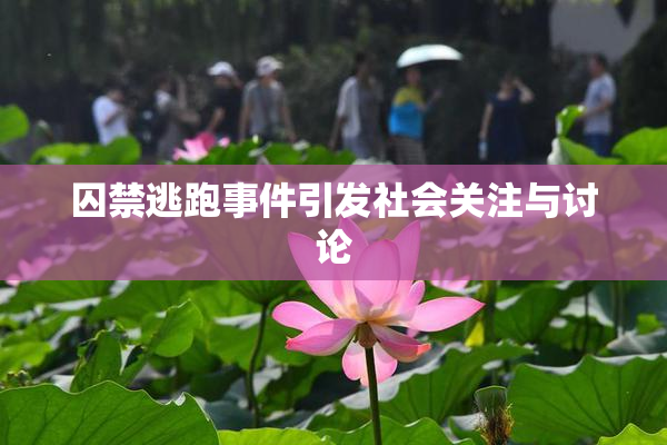 囚禁逃跑事件引发社会关注与讨论