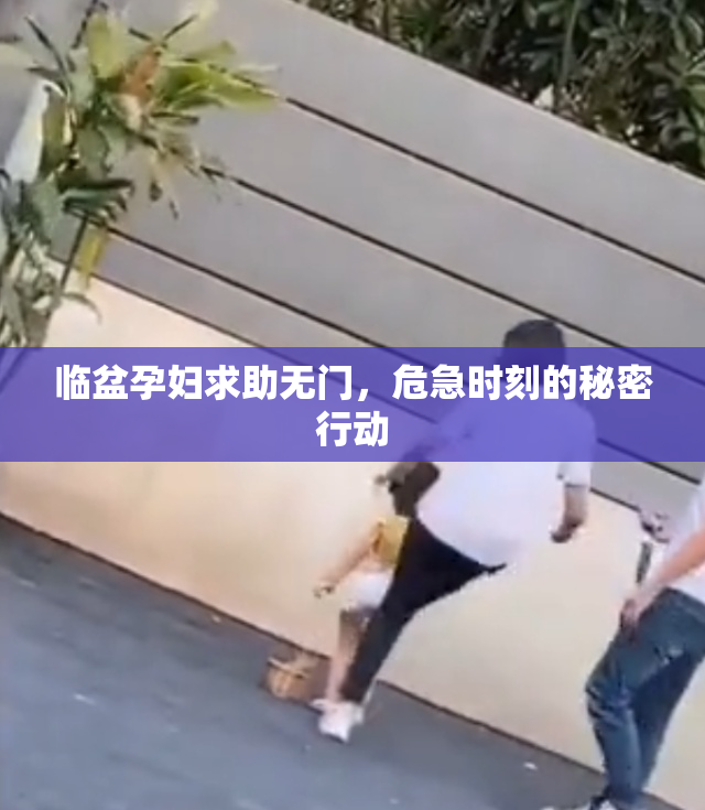 临盆孕妇求助无门，危急时刻的秘密行动