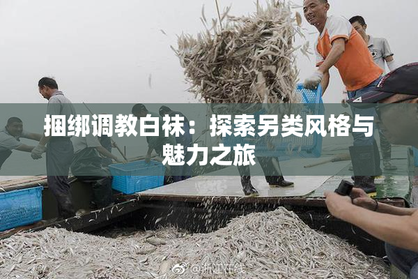 捆绑调教白袜：探索另类风格与魅力之旅