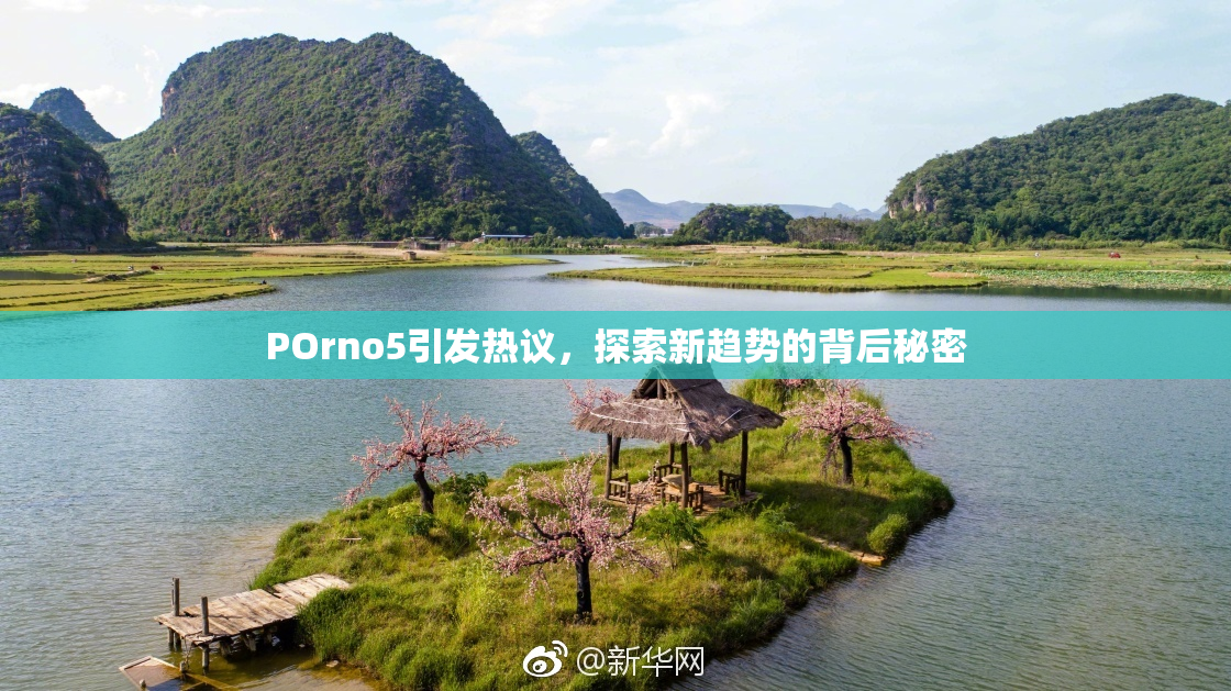 POrno5引发热议，探索新趋势的背后秘密