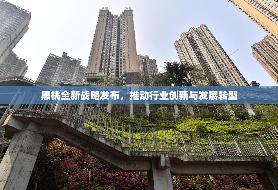 黑桃全新战略发布，推动行业创新与发展转型