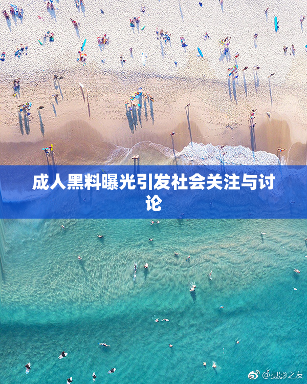成人黑料曝光引发社会关注与讨论