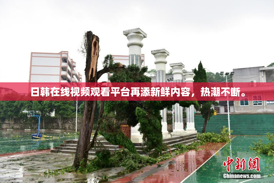 日韩在线视频观看平台再添新鲜内容，热潮不断。