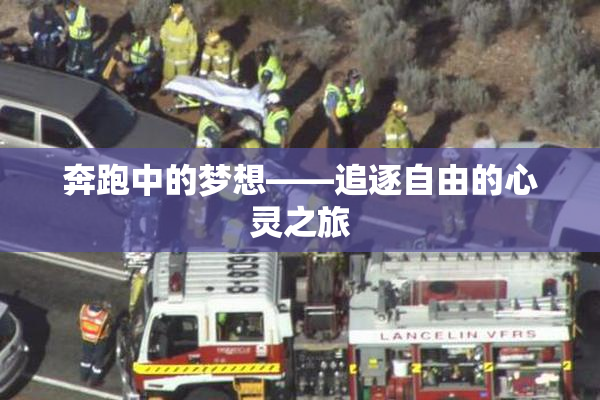 奔跑中的梦想——追逐自由的心灵之旅