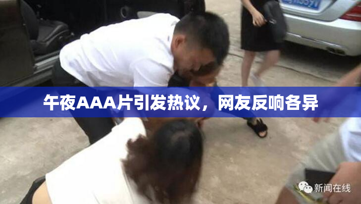 午夜AAA片引发热议，网友反响各异