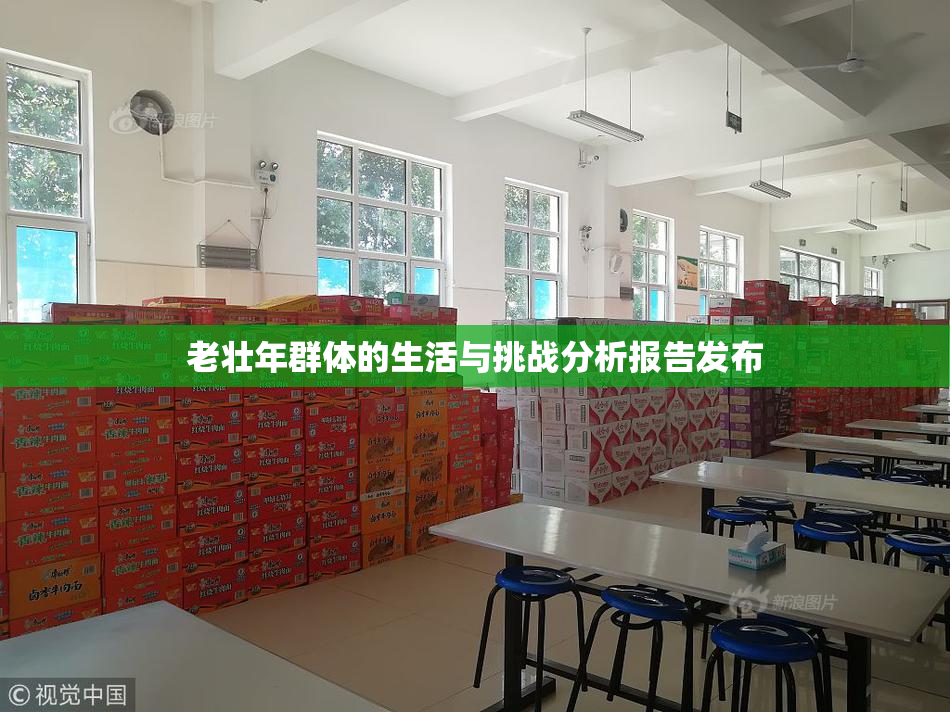老壮年群体的生活与挑战分析报告发布