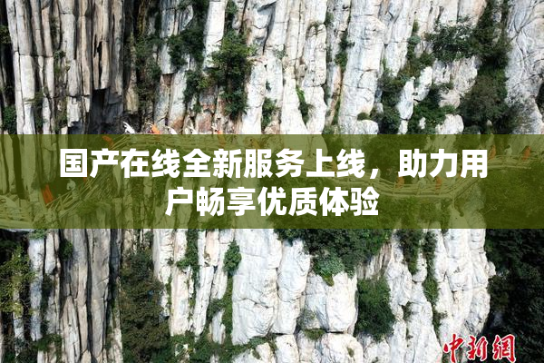 国产在线全新服务上线，助力用户畅享优质体验