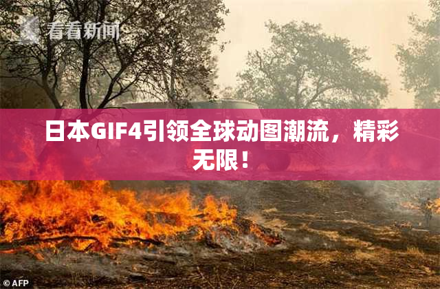 日本GIF4引领全球动图潮流，精彩无限！