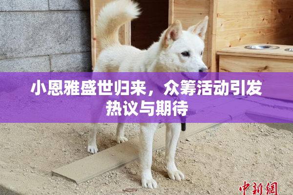 小恩雅盛世归来，众筹活动引发热议与期待