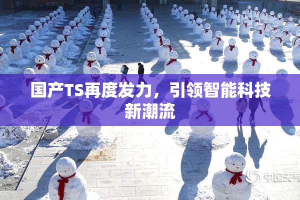 国产TS再度发力，引领智能科技新潮流