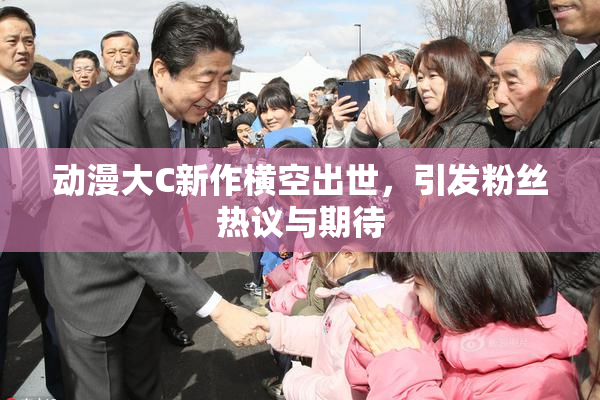 动漫大C新作横空出世，引发粉丝热议与期待