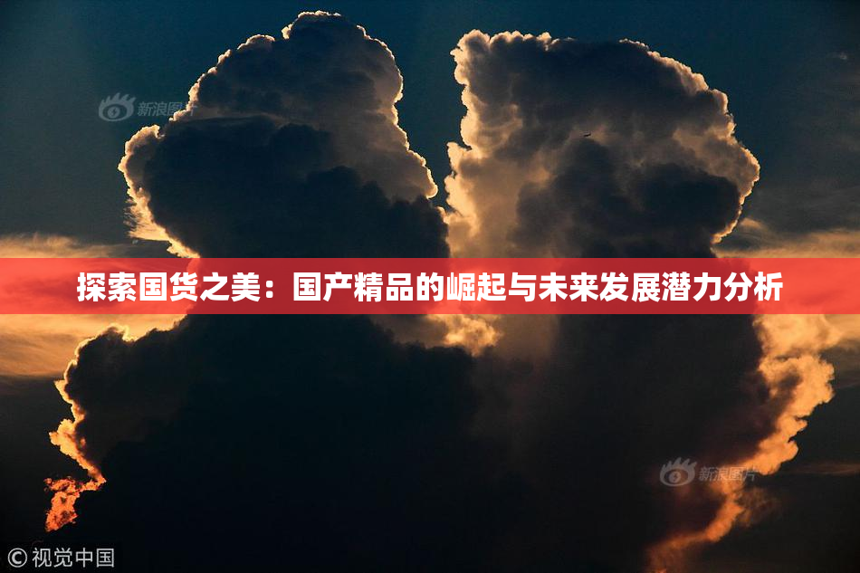 探索国货之美：国产精品的崛起与未来发展潜力分析